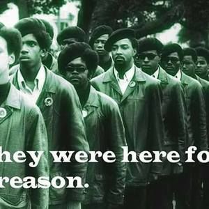 Meet your Posher, Kelli