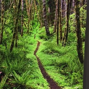 Meet your Posher, Alaina