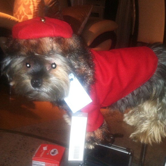 Red/Leopard Coat & Matching Hat Pet Set - Picture 3 of 3