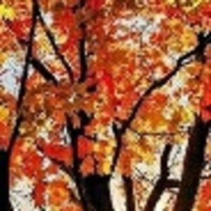 Meet your Posher, Yasmine