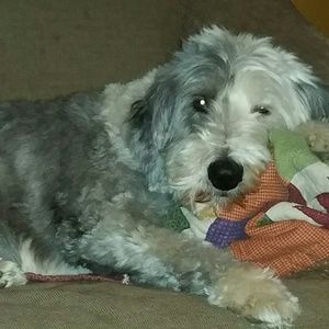 Meet your Posher, Ferne