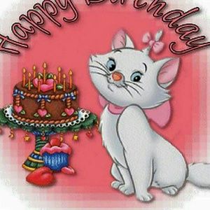 Meet your Posher, Corrinne