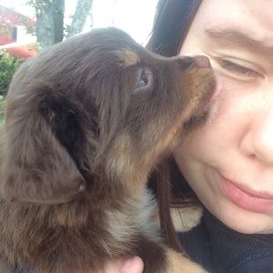 Meet your Posher, Theresa