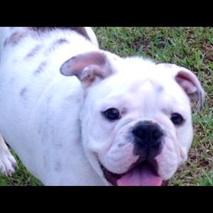 Meet your Posher, Sabrina