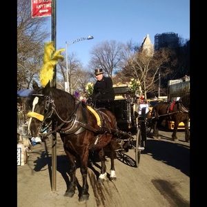 Winter Wonderland....