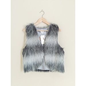 Faux Fur Vest in Wild Silver
