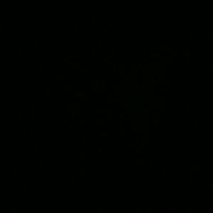 Meet your Posher, Kacy