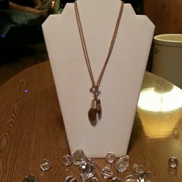 NWT LIA SOPHIA TOGGLE "NATURAL CHARM" NECKLACE