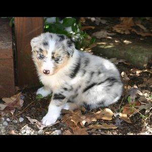 Meet your Posher, Sue anne