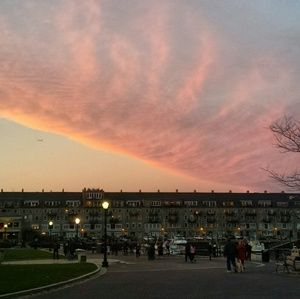 Meet your Posher, Ali