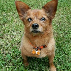 Meet your Posher, Arianna