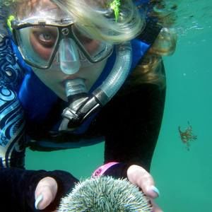 Meet your Posher, Ali