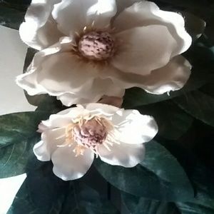 Meet your Posher, Arlis