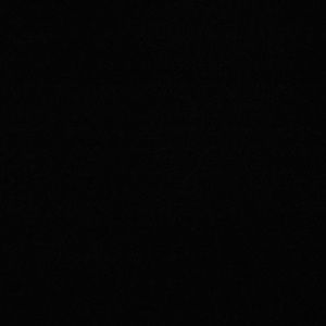 Meet your Posher, Elvin