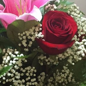 Meet your Posher, Yesenia