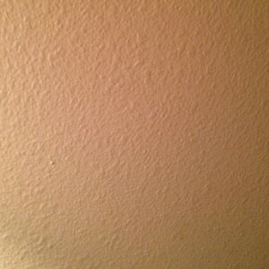 Meet your Posher, Alisha