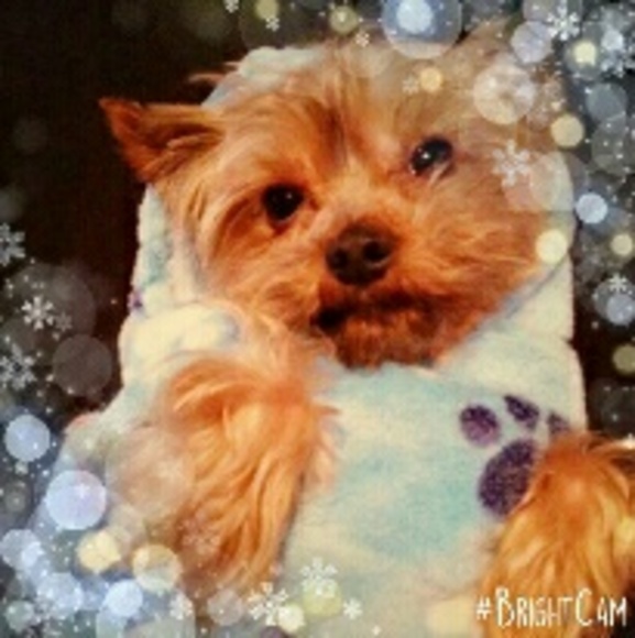 Meet your Posher, Pamela