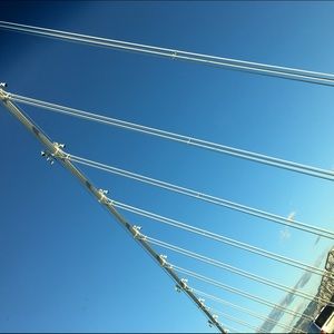 Meet your Posher, Holly