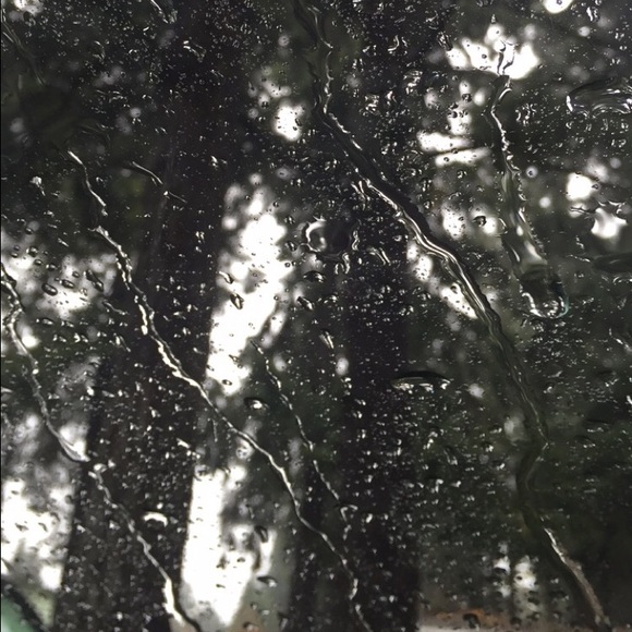 Meet your Posher, Autumn