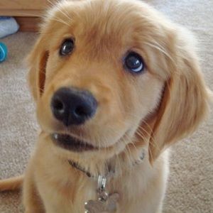 Meet your Posher, Aurora