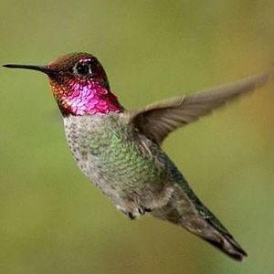 Meet your Posher, Denise