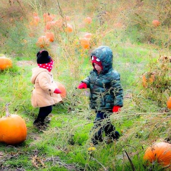 Meet your Posher, Chelsa - Picture 1 of 1