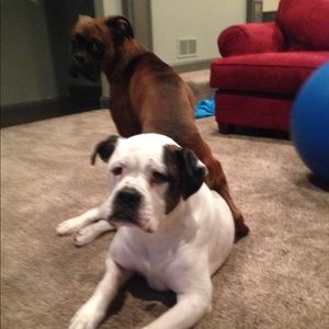 Meet your Posher, Jack