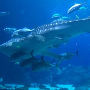 Meet your Posher, Meredith