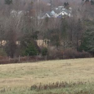 Meet your Posher, Desiree