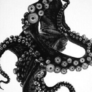 Meet your Posher, Muriel