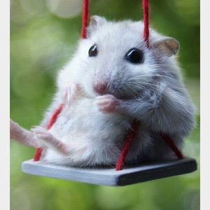 Meet your Posher, Lydia