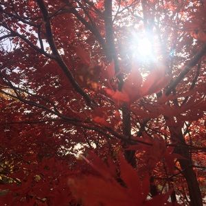 Meet your Posher, Christa