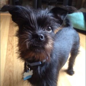 Meet your Posher, Ying