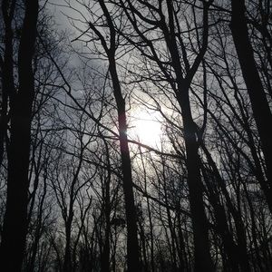 Meet your Posher, Aliyah