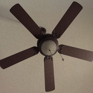 Meet your Posher, Daniela