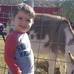 Meet your Posher, Shea