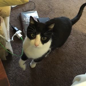 Meet your Posher, Petra