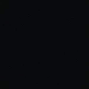 Meet your Posher, Kesha