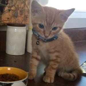 Meet your Posher, Lori