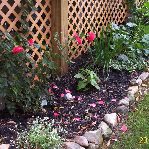 Meet your Posher, Sandy - Picture 1 of 1