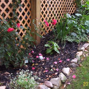 Meet your Posher, Sandy