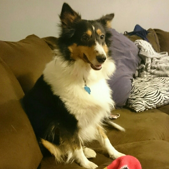 Meet your Posher, Heather - Picture 1 of 1