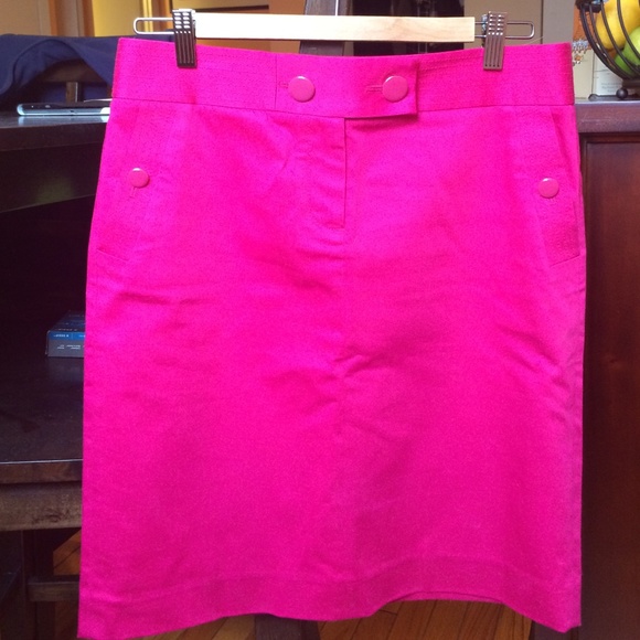 J. Crew skirt