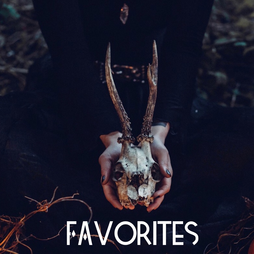 Host Picks & Favorites