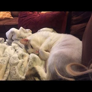 Meet your Posher, Laura