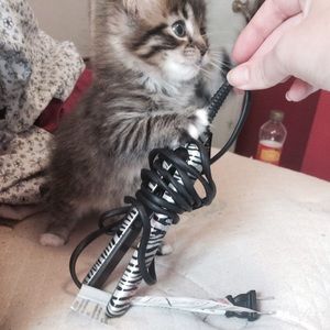 Mini zebra hair straightener