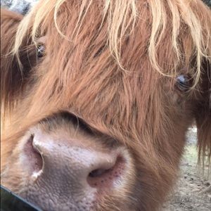 Meet your Posher, Gracey