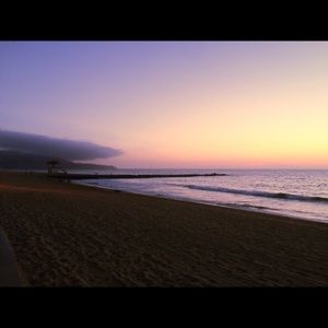 Meet your Posher, Stevie