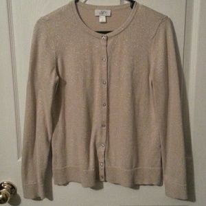 Sparkling Ann Taylor Sweater