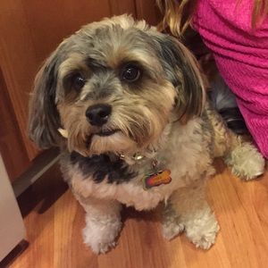 Meet your Posher, Dana